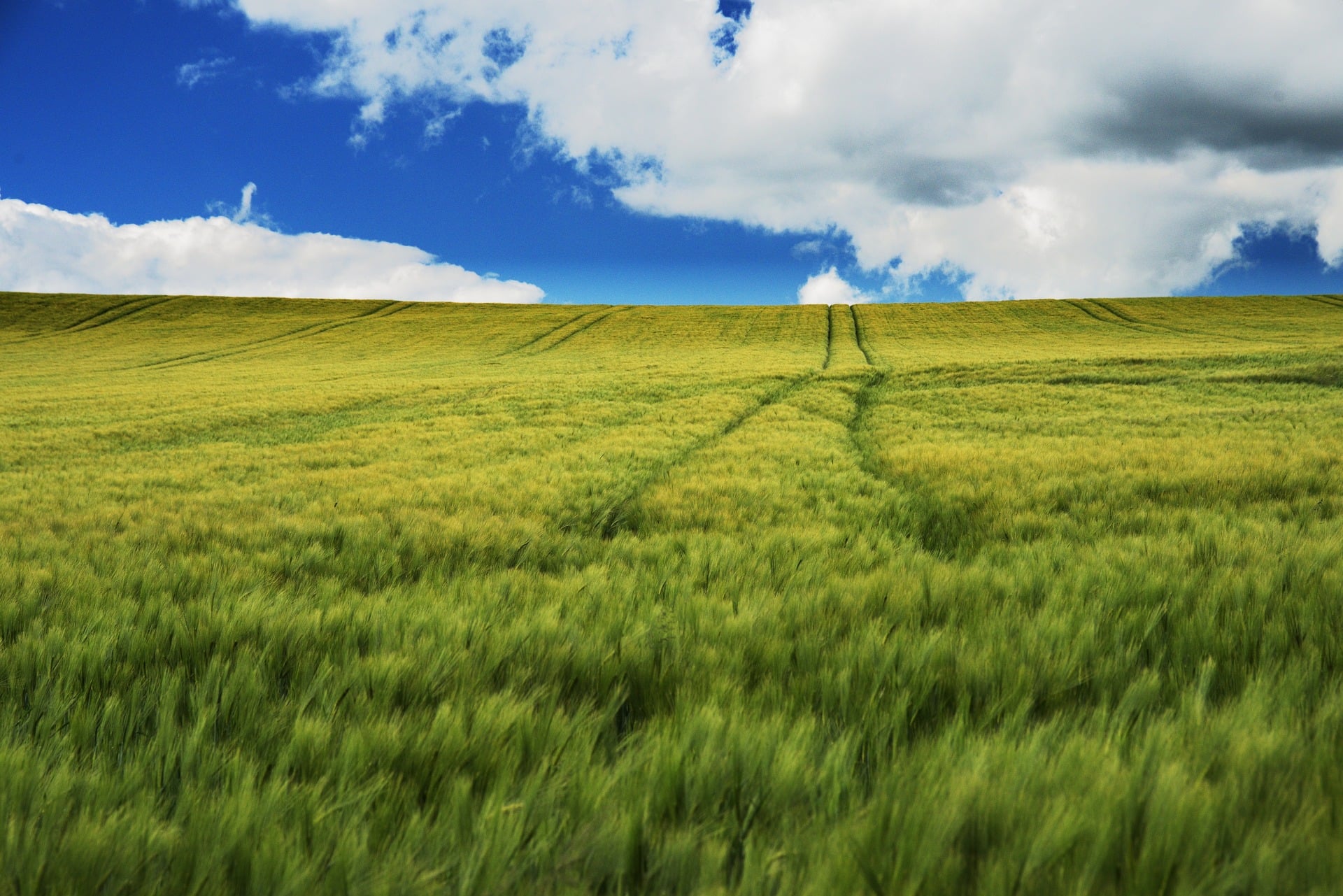 Agricultura inteligente